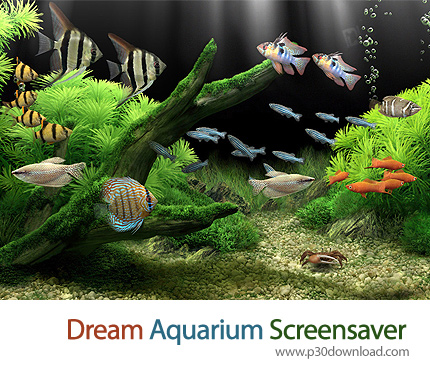 Dream Aquarium Screensaver Serial (Working)