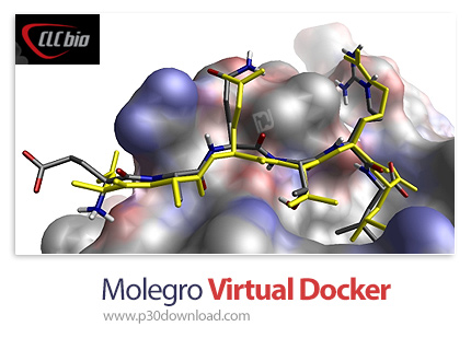 Molegro Virtual Docker 4.3 Free Download For Mac goodjenni 1487841917_molegro-virtual-docker