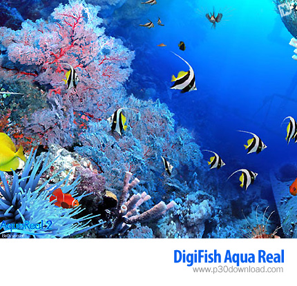 DigiFish Aqua Real v2 1.04a Crack