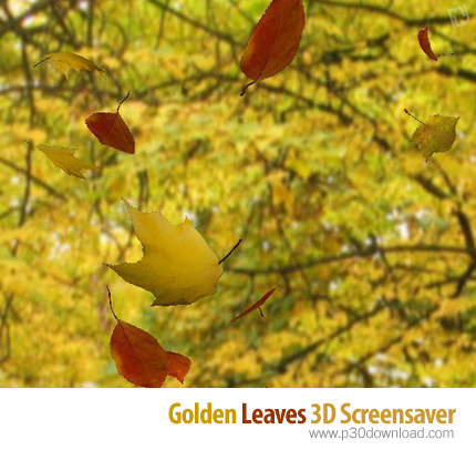 Golden Leaves 3D Screensaver v1.2.0 Crack