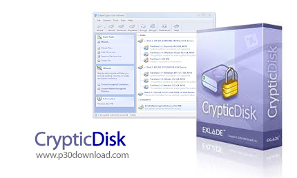 Cryptic Disk Pro v3.0.29.569 Crack