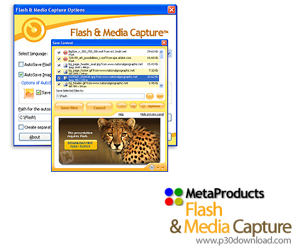 Flash and Media Capture Player v2.0.210 Crack