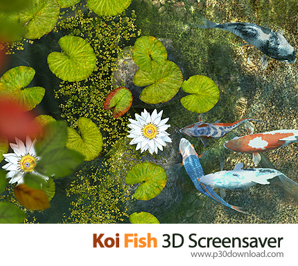 Koi Fish 3D Screensaver v2.0 Build 6 Crack