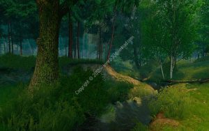 Summer Forest 3D Screensaver v1.0 Build 1 Crack