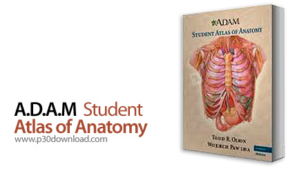 A.D.A.M Student Atlas of Anatomy v01.00.05.11 Crack