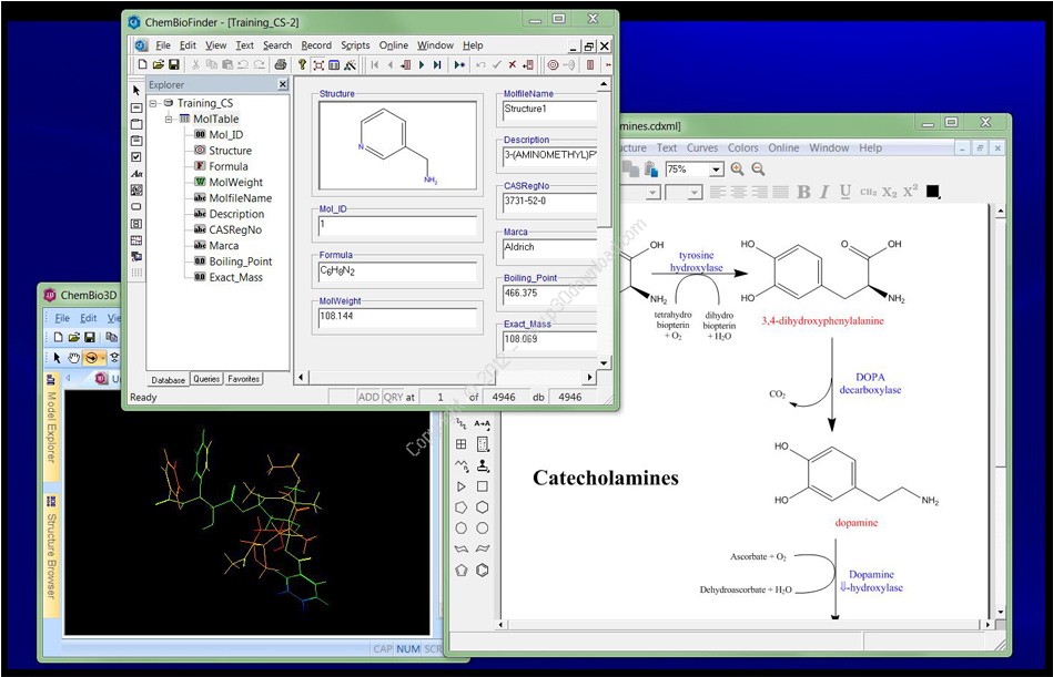 ChemBioOffice Ultra v13.0 Suite Crack