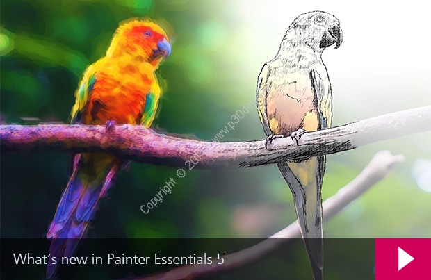 Corel Painter Essentials v5.0 x64 Crack
