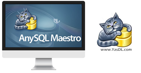 AnySQL Maestro Professional 16.12.0.5 Crack