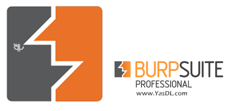 Burp Suite Professional 1.7.26 Crack