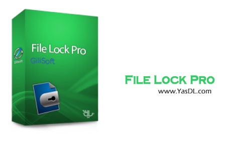 GiliSoft File Lock Pro 10.7.0 Crack
