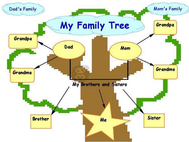 My Family Tree 7.8.3.0 - Build Familylife On Computer Crack