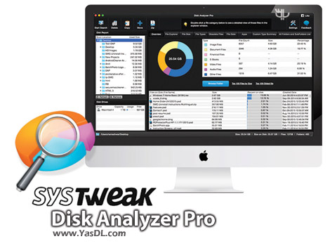 SysTweak Disk Analyzer Pro 1.0.1100.1146 Crack