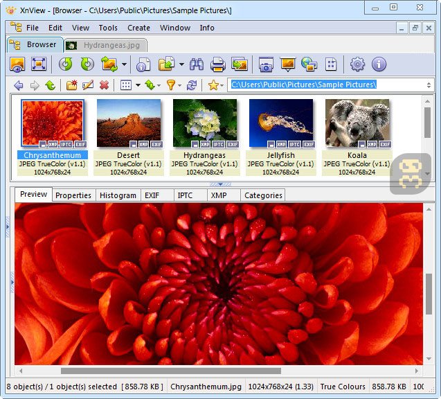 XnView 2.41 - View And Edit All Image Formats Crack