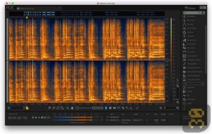IZotope RX 5 Advanced Audio Editor 5 - Noise Removal From Audio File Crack
